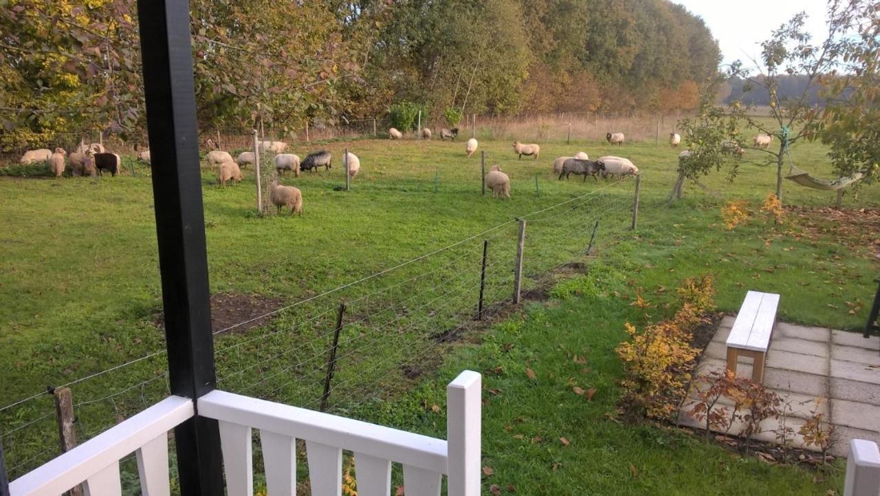 Pipowagen Elsebein Groningen Westerwolde Unieke Ligging Met Eigen Tuin En Vrij Uitzicht Over Veld Naar Natuurgebied Onstwedde Kültér fotó