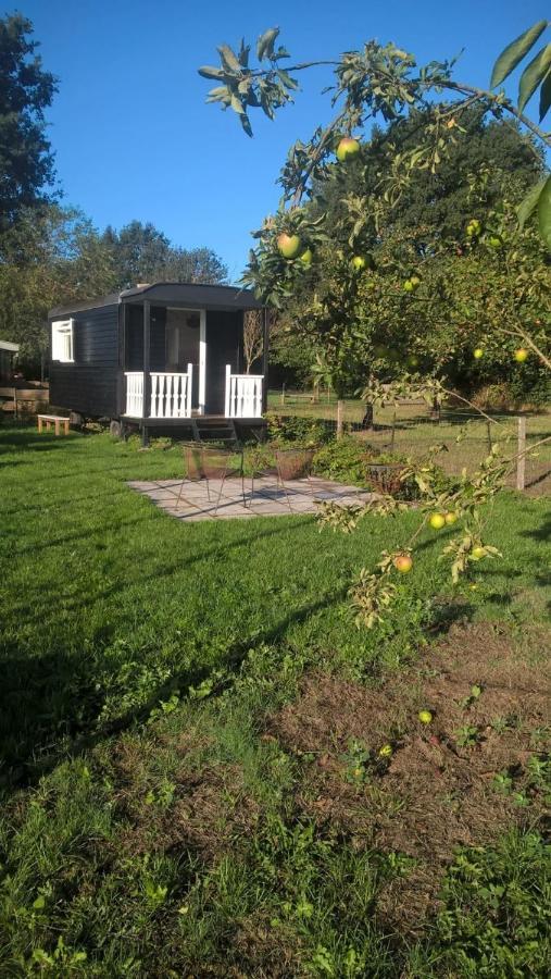 Pipowagen Elsebein Groningen Westerwolde Unieke Ligging Met Eigen Tuin En Vrij Uitzicht Over Veld Naar Natuurgebied Onstwedde Kültér fotó