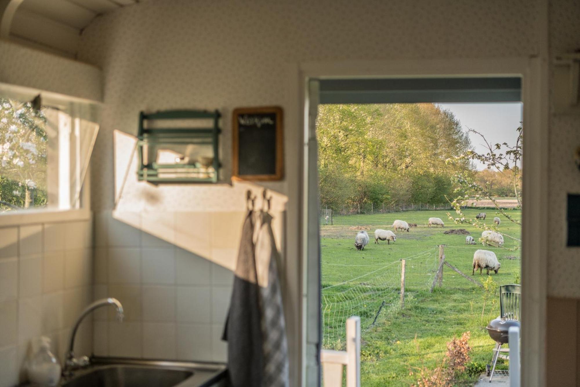 Pipowagen Elsebein Groningen Westerwolde Unieke Ligging Met Eigen Tuin En Vrij Uitzicht Over Veld Naar Natuurgebied Onstwedde Kültér fotó