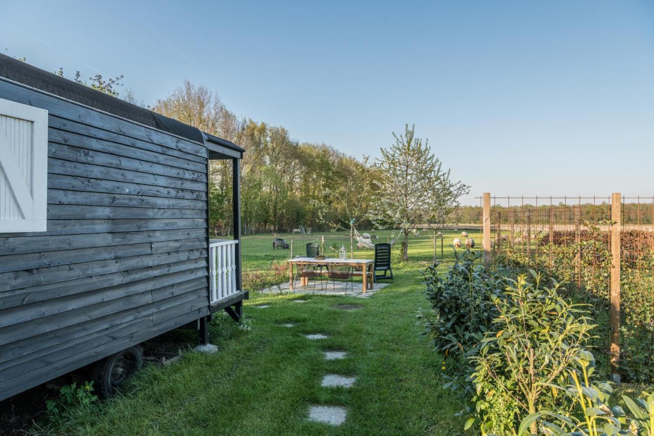 Pipowagen Elsebein Groningen Westerwolde Unieke Ligging Met Eigen Tuin En Vrij Uitzicht Over Veld Naar Natuurgebied Onstwedde Kültér fotó